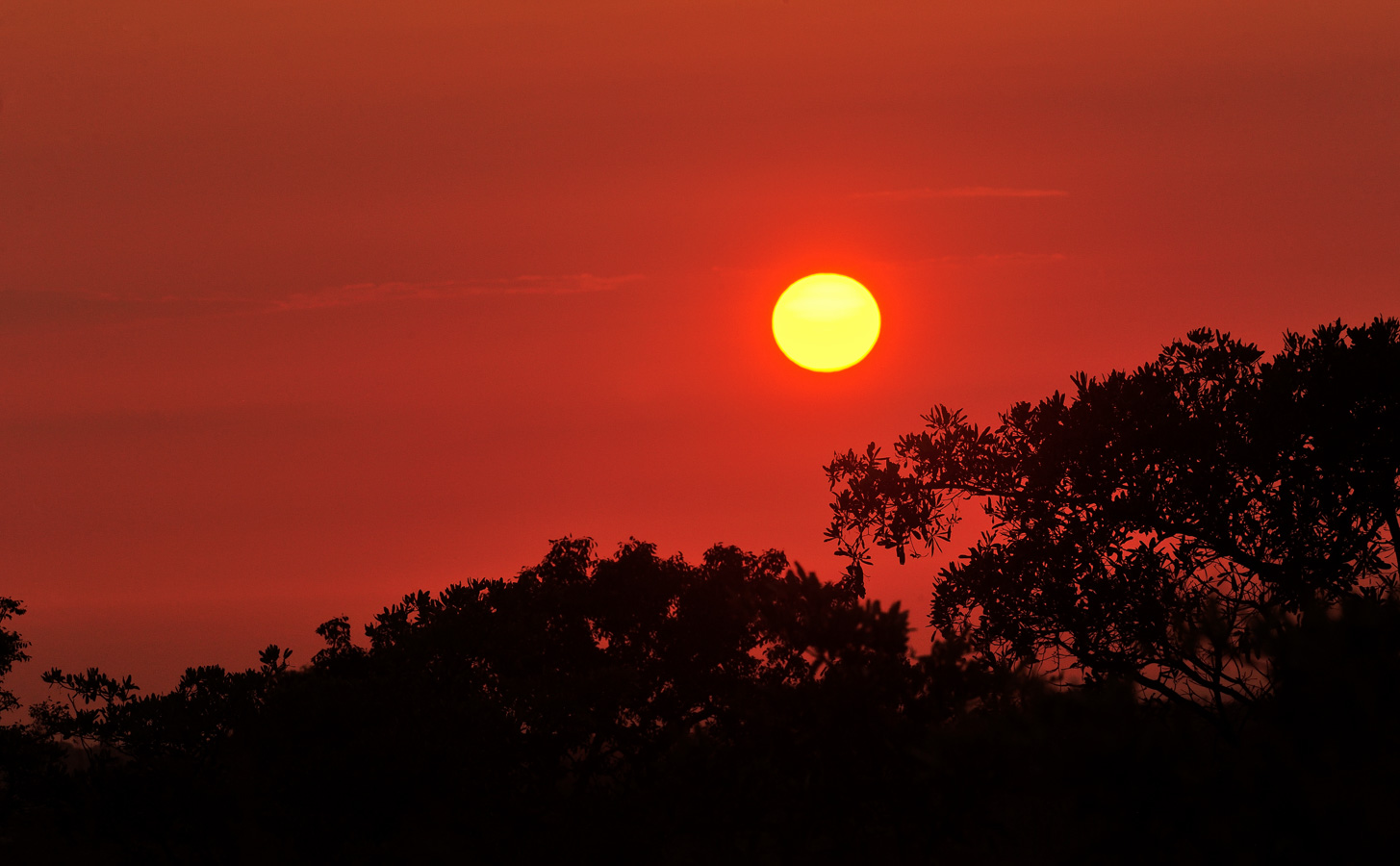 Kruger National Park [280 mm, 1/400 sec at f / 14, ISO 800]